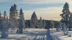 Vinter.